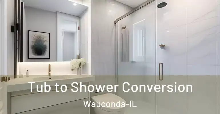 inner Bathroom imggen Tub to Shower Conversion Wauconda-IL