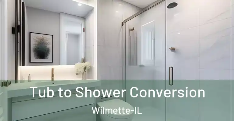 inner Bathroom imggen Tub to Shower Conversion Wilmette-IL