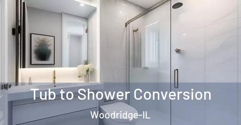 inner Bathroom imggen Tub to Shower Conversion Woodridge-IL