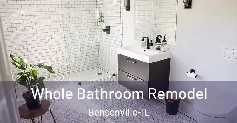 inner Bathroom imggen Whole Bathroom Remodel Bensenville-IL