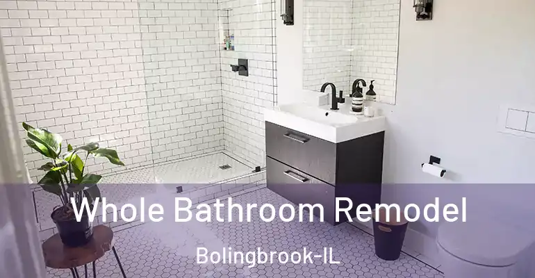 inner Bathroom imggen Whole Bathroom Remodel Bolingbrook-IL