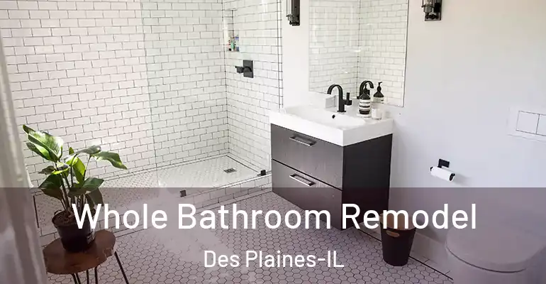 inner Bathroom imggen Whole Bathroom Remodel Des Plaines-IL