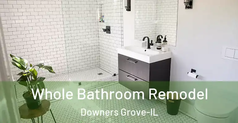 inner Bathroom imggen Whole Bathroom Remodel Downers Grove-IL