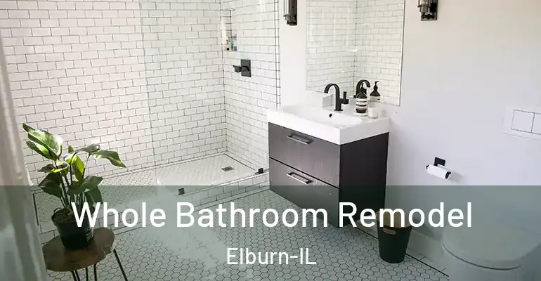 inner Bathroom imggen Whole Bathroom Remodel Elburn-IL
