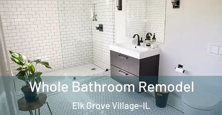 inner Bathroom imggen Whole Bathroom Remodel Elk Grove Village-IL