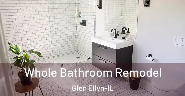 inner Bathroom imggen Whole Bathroom Remodel Glen Ellyn-IL