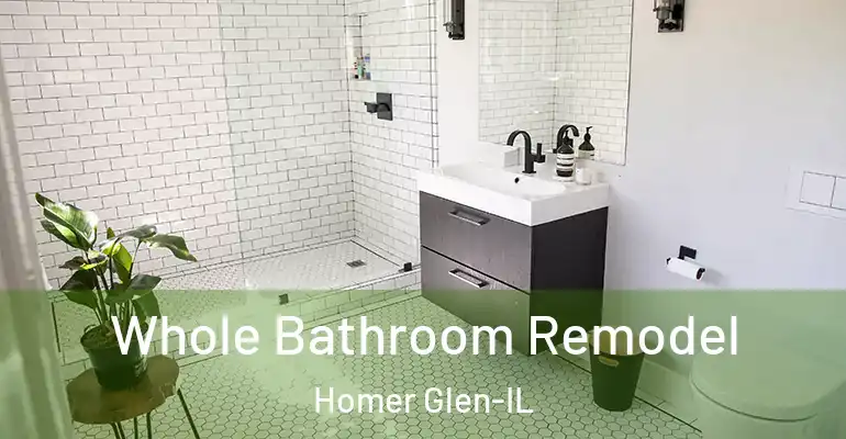 inner Bathroom imggen Whole Bathroom Remodel Homer Glen-IL