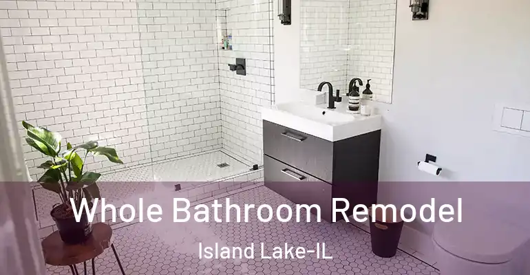 inner Bathroom imggen Whole Bathroom Remodel Island Lake-IL