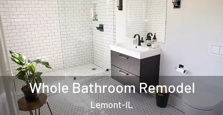 inner Bathroom imggen Whole Bathroom Remodel Lemont-IL