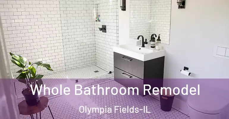 inner Bathroom imggen Whole Bathroom Remodel Olympia Fields-IL