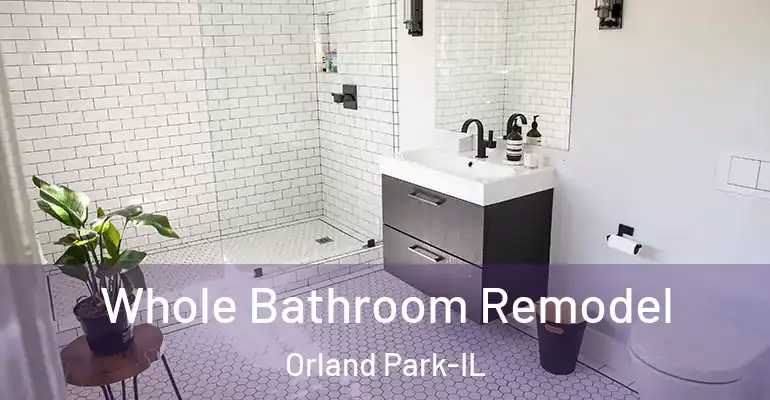 inner Bathroom imggen Whole Bathroom Remodel Orland Park-IL
