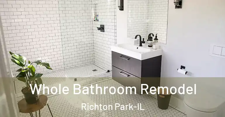 inner Bathroom imggen Whole Bathroom Remodel Richton Park-IL
