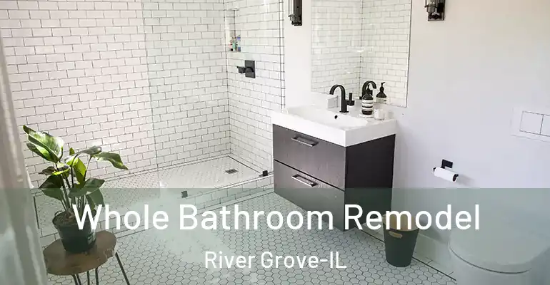 inner Bathroom imggen Whole Bathroom Remodel River Grove-IL