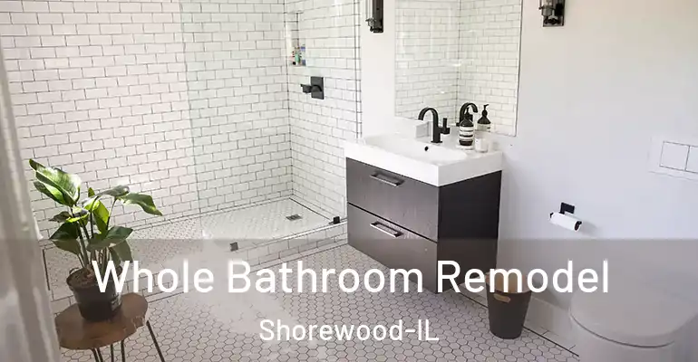 inner Bathroom imggen Whole Bathroom Remodel Shorewood-IL