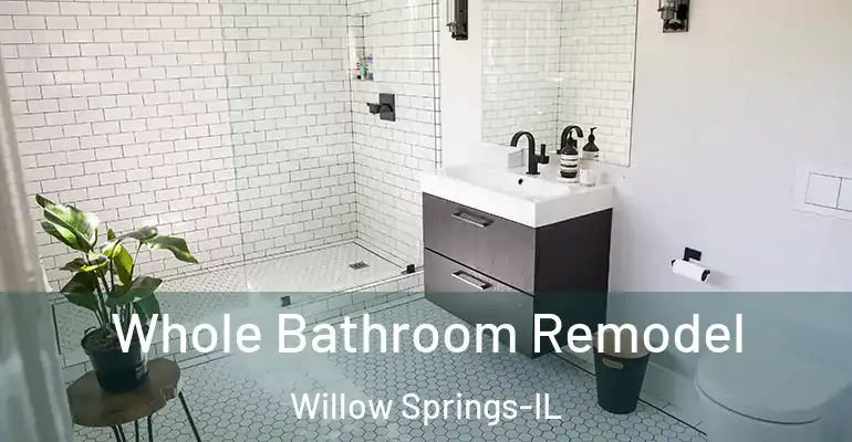 inner Bathroom imggen Whole Bathroom Remodel Willow Springs-IL