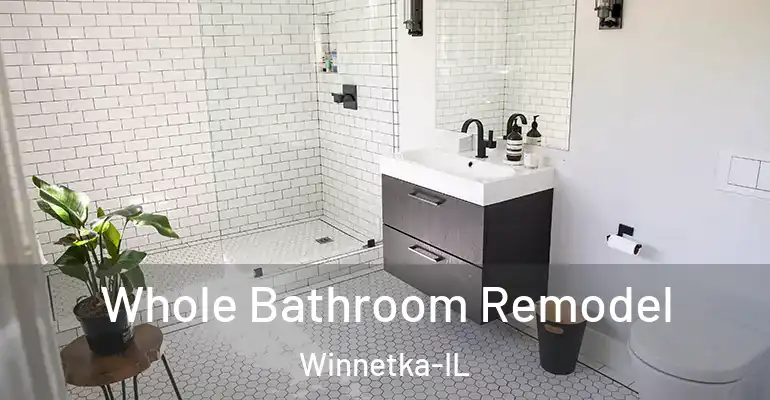 inner Bathroom imggen Whole Bathroom Remodel Winnetka-IL